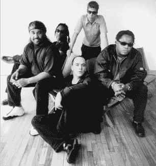 dmb2.jpg